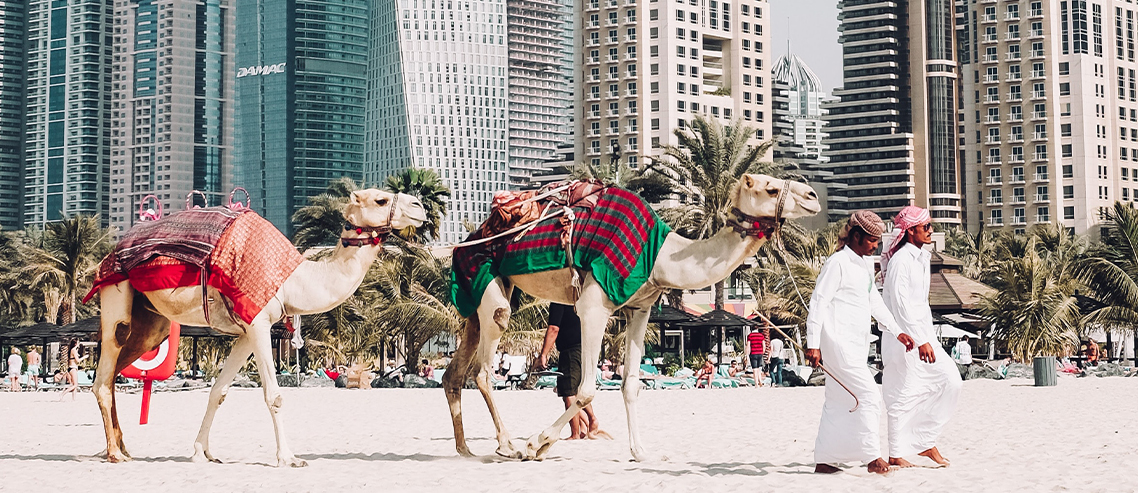 شتر سواری در دبی
