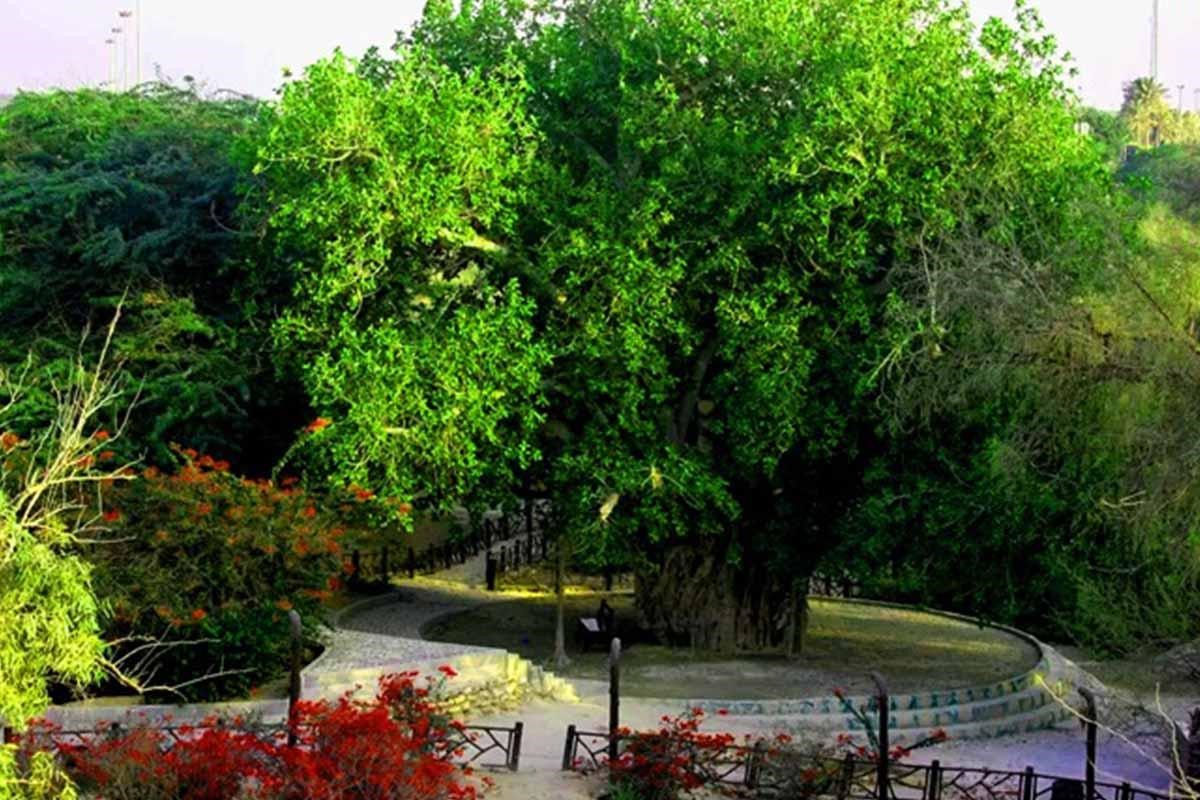 پارک های کیش