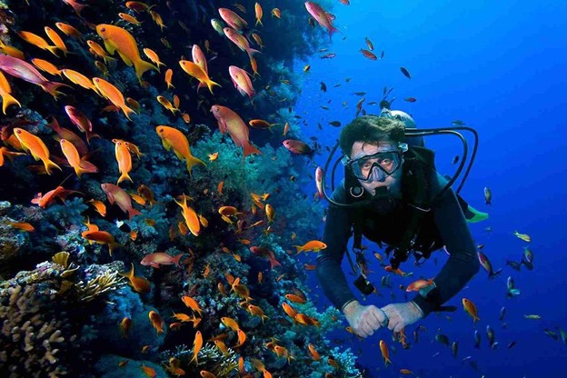 تفریحات آبی کوش آداسی