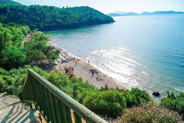 تورهای طبیعت‌گردی