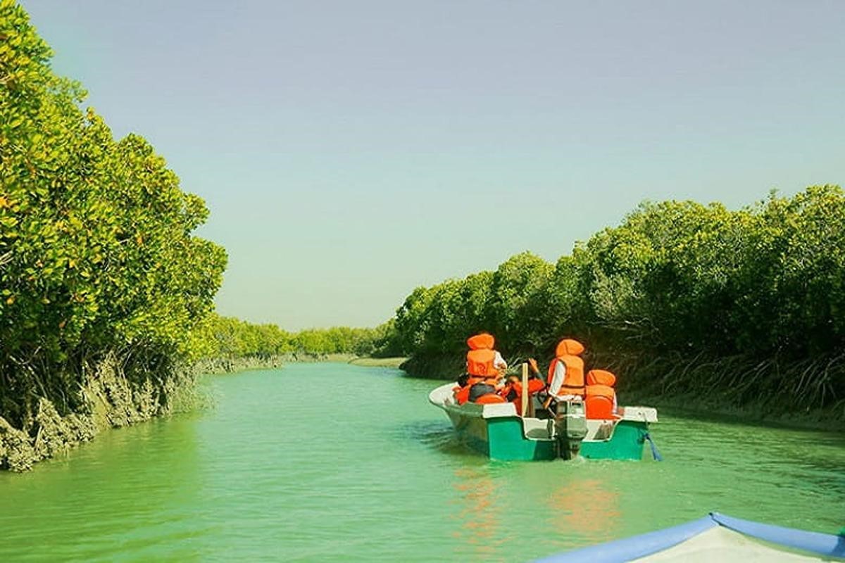 جنگلهای حرا