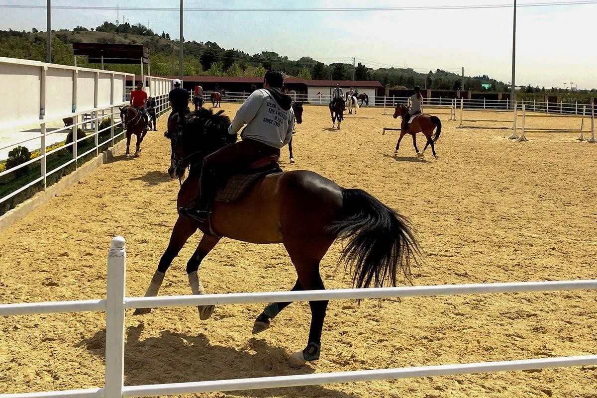 باشگاه کارتینگ و سوارکاری ارشاد مشهد