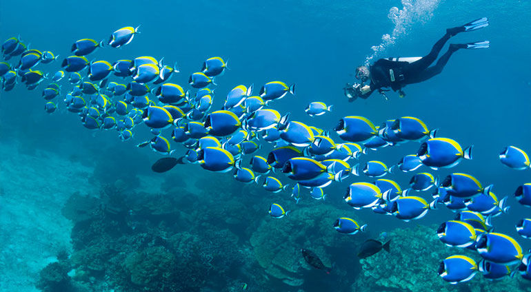 تفریحات قشم