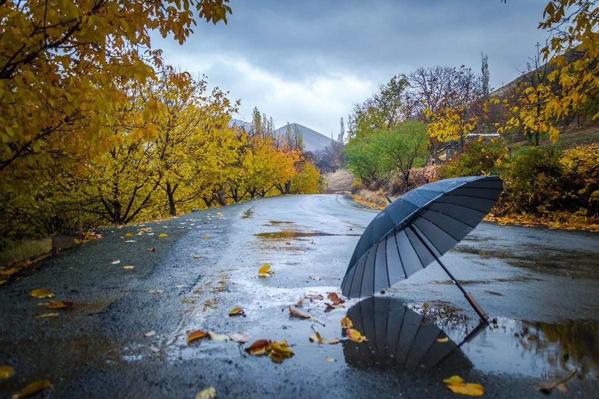 پاییز در مشهد