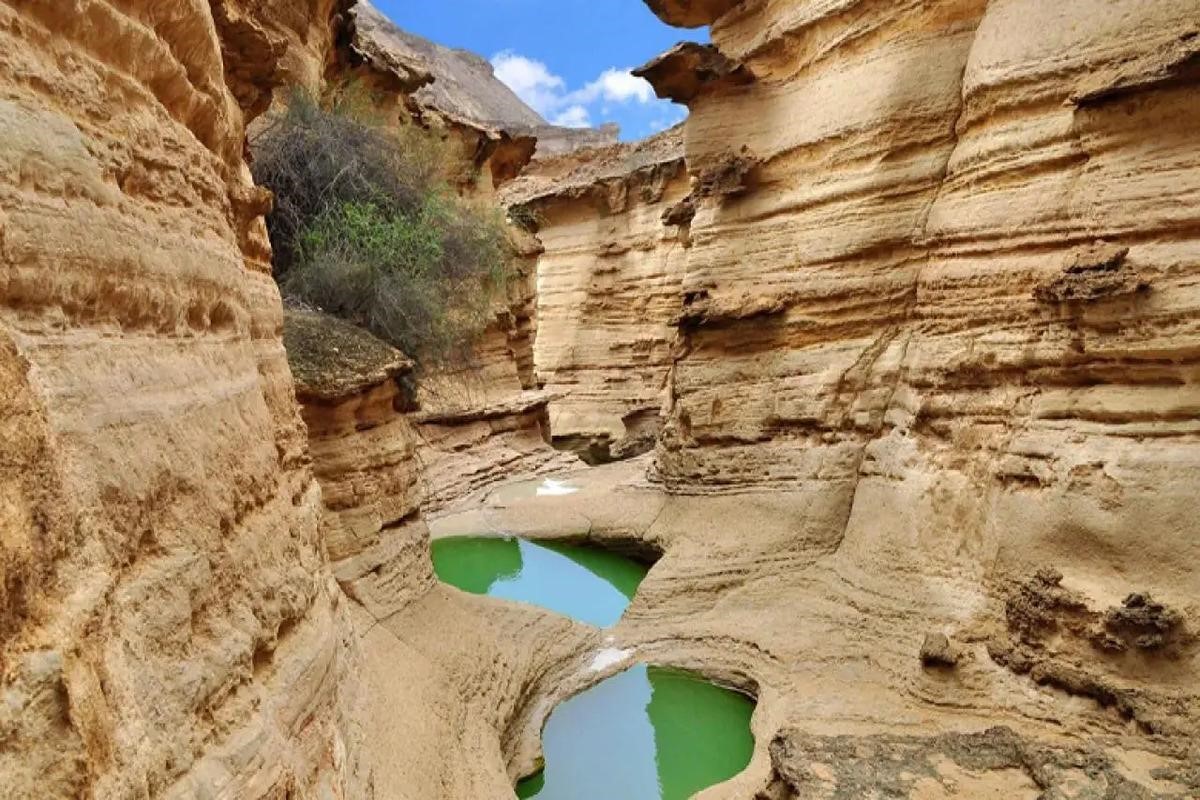 تنگههای قشم