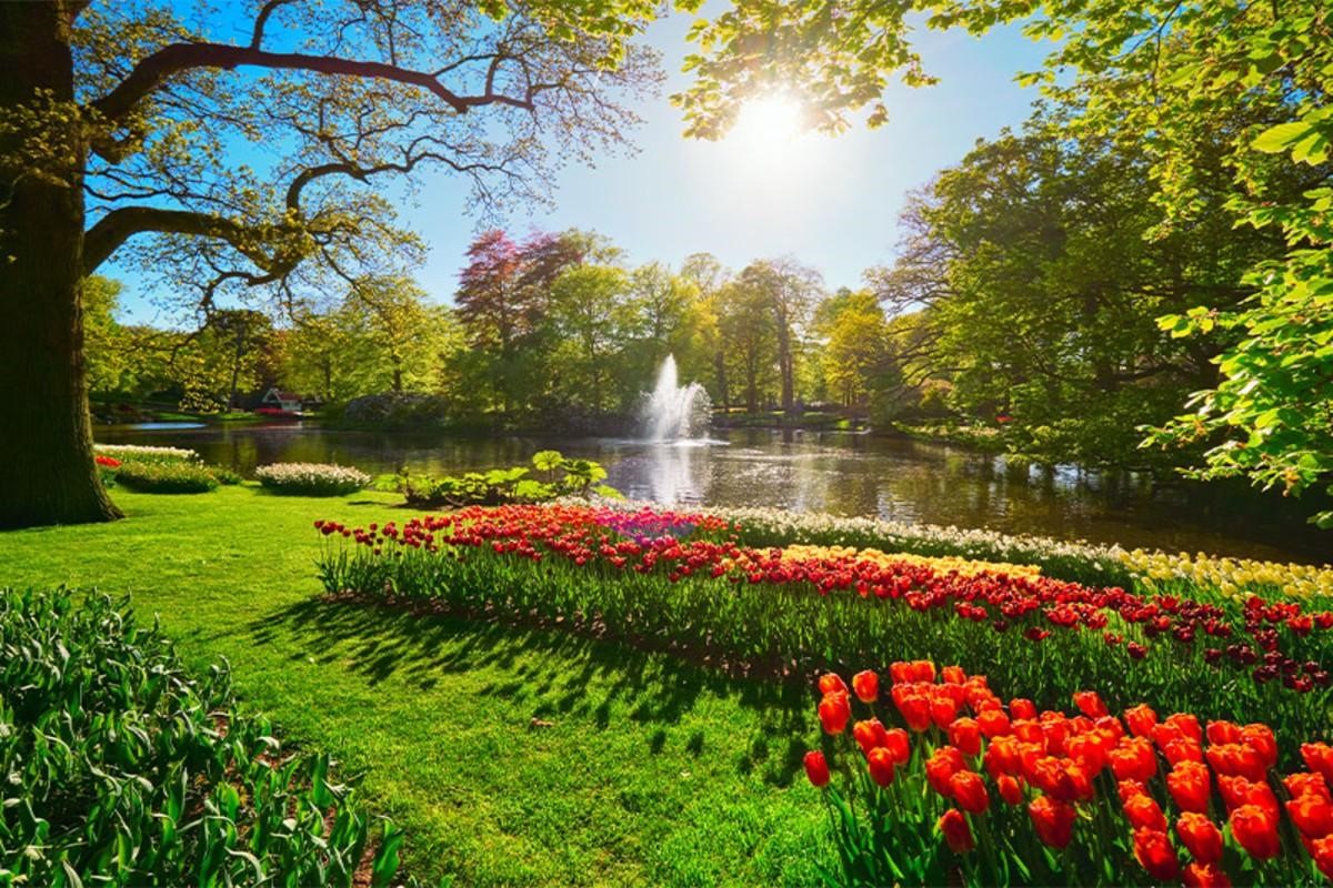 باغ گل‌ها مشهد