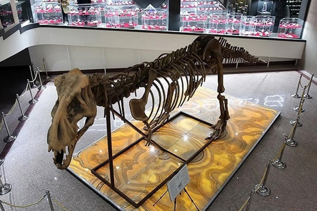 پارک موزه علوم زمین