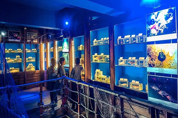 موزه زیست‌شناسی دریایی آنتالیا