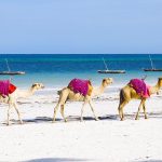 راهنمای سفر به قشم