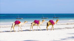 راهنمای سفر به قشم