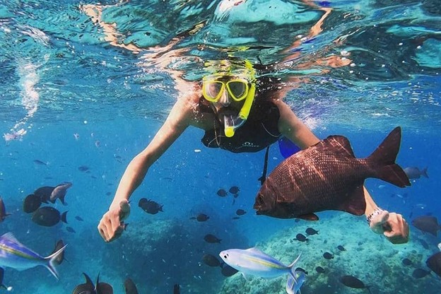 تفریحات کوش آداسی