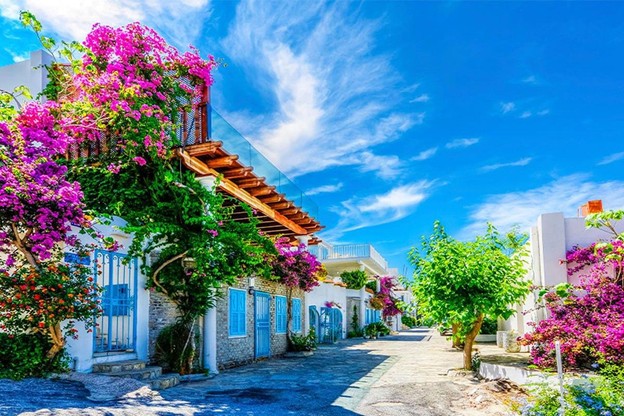 هزینه‌های سفر به کوش آداسی