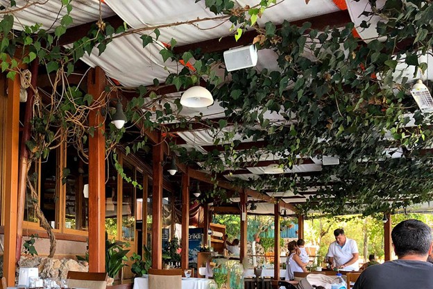 رستوران کوردون