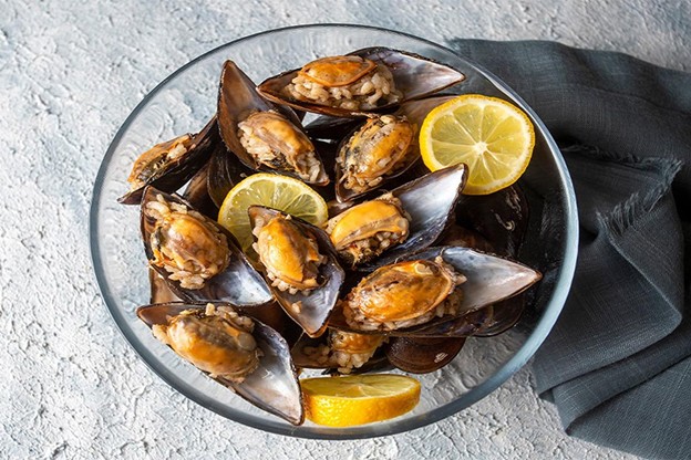 صدف شکم‌پر