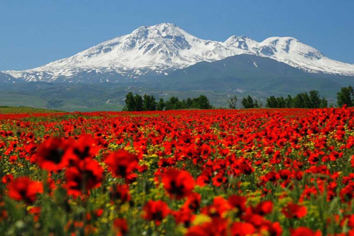 9. کوه سبلان