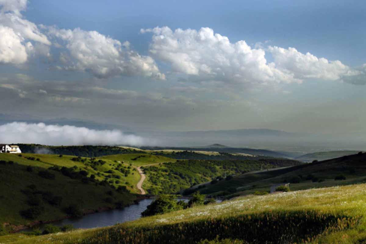 7. جنگل فندقلو