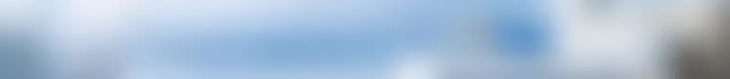 flightio